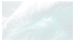 Desktop Screenshot of kellyslater.com